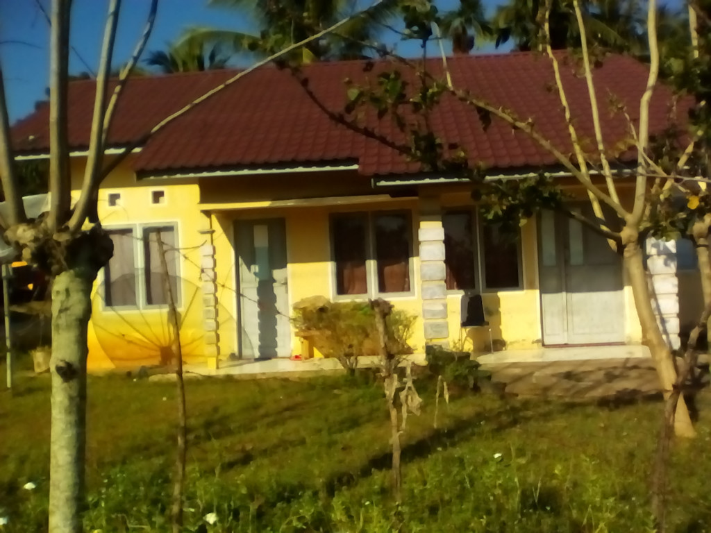 Polindes Gampong Cot Trieng